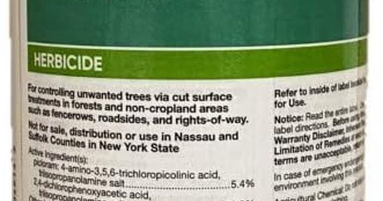 Best Herbicide For Kudzu: Stop the Invasion
