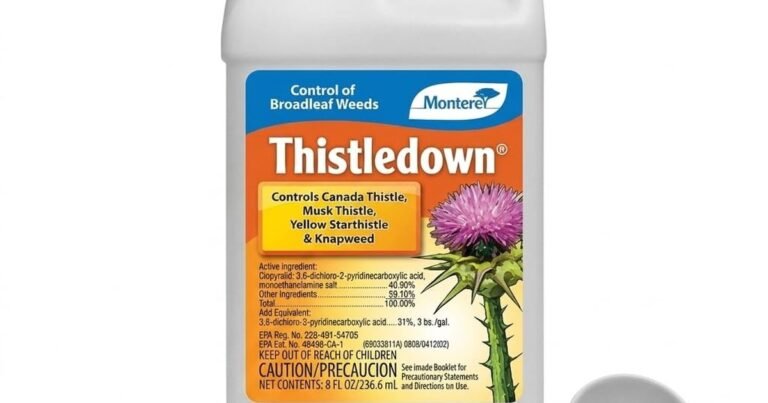 Best Herbicide For White Clover: Kill Clover for Good