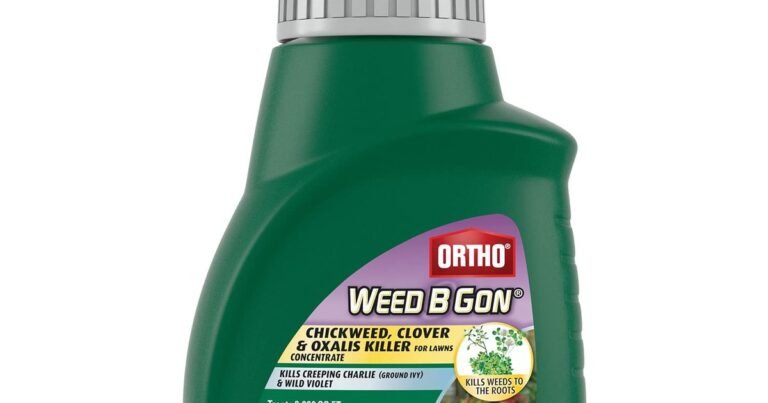 Best Chickweed Killer For Lawns: Stop the Spread