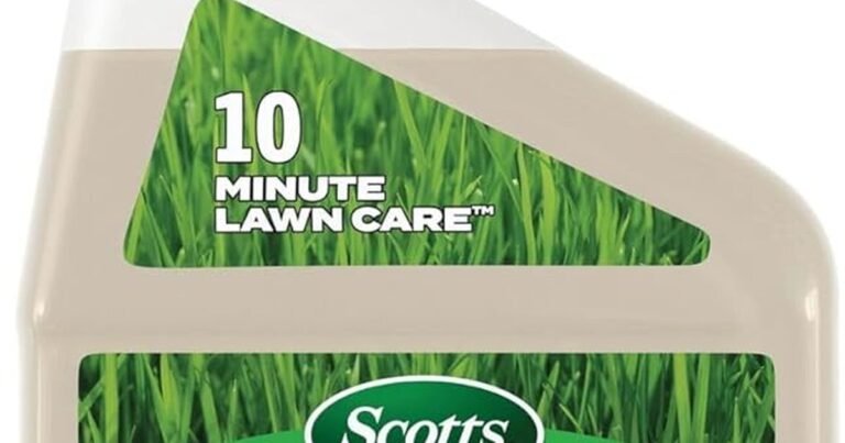 Best Fall Fertilizer For New Grass: Strong Roots, Less Stress