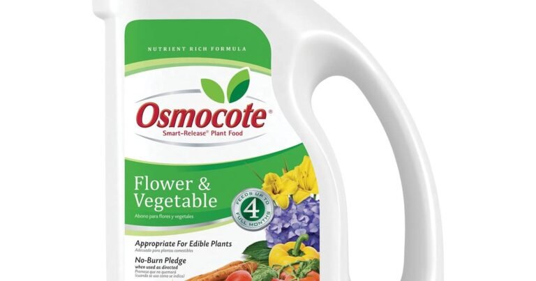 Best Slow Release Fertilizer For Perennials: Steady Growth, Fewer Worries