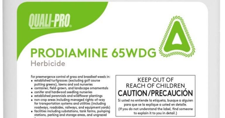 Best Pre Emergent For Poa Annua: Stop Winter Weeds