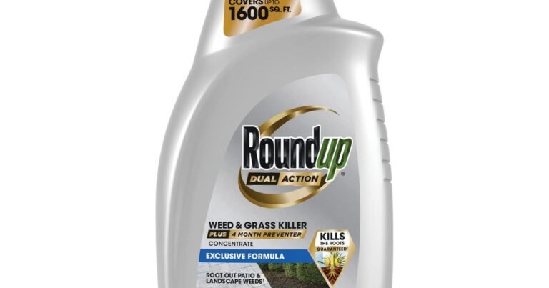 Best Grass Killer For Gravel Driveway: Stop Weeds for Good