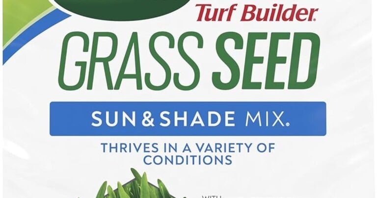 Best Grass For Cold Climates: Survive Harsh Winters