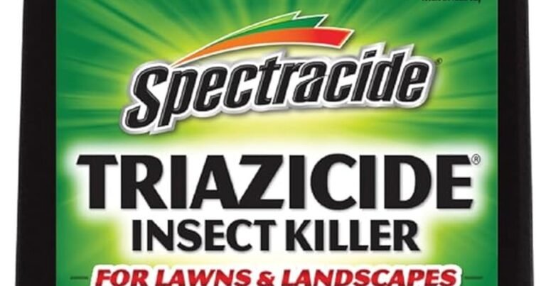 Best Treatment For Lawn Grubs: Stop the Damage