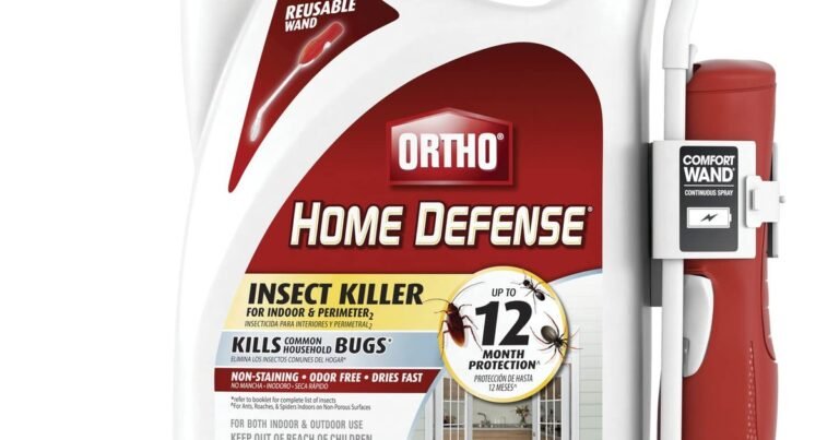 Best Yard Spray For Spiders: Reclaim Your Outdoor Space