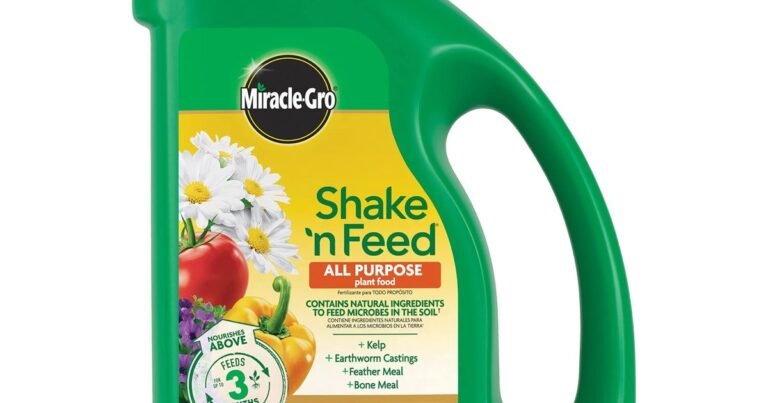 Best Slow Release Fertilizer For Lawns: Long-Lasting Green