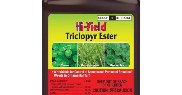 Best Weed Killer For Violets: Target Weeds, Protect Blooms