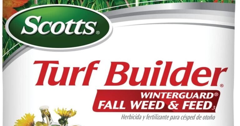 Best Weed And Feed For Tall Fescue: Kill Weeds, Feed Grass