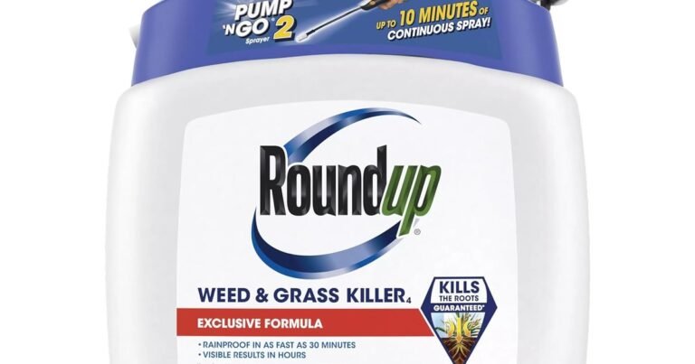 Best Herbicide For Creeping Charlie: Kill It for Good