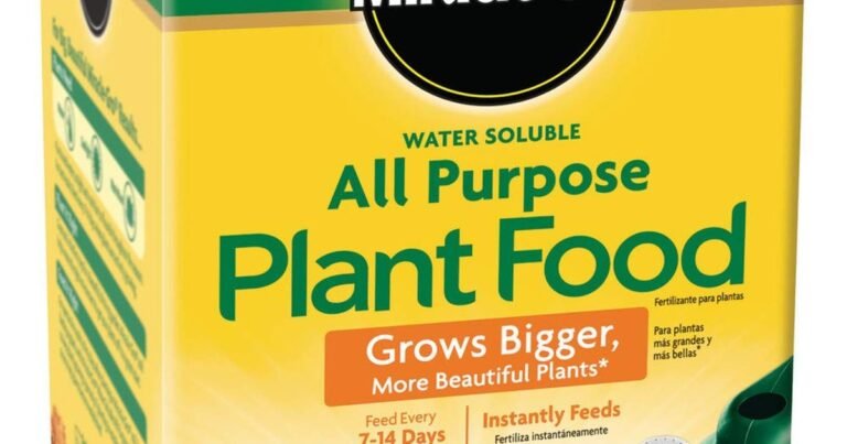 Best Fertilizer For Perennials: Strong Roots, Bold Blooms