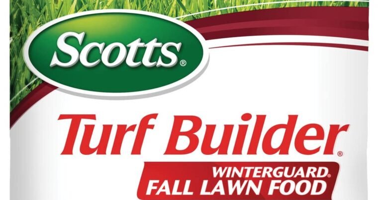 Best Fertilizer For Grass After Winter: Green It Up