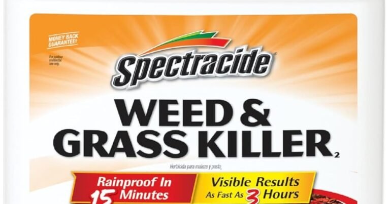 Best Weed Killer For Grass: Reclaim Your Lawn