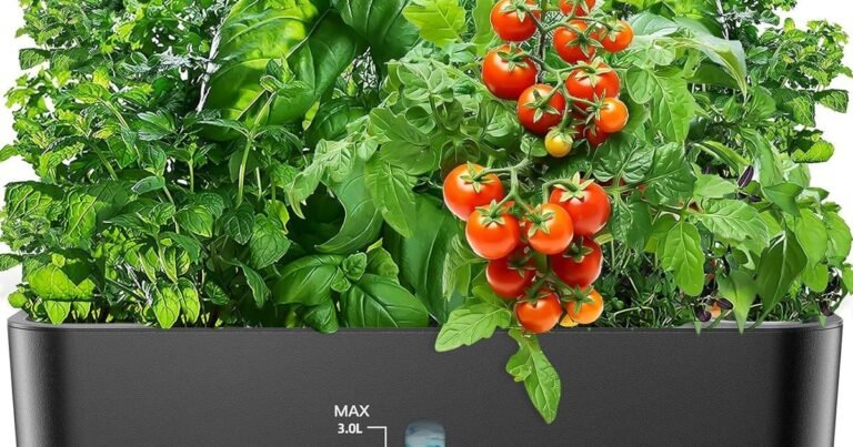 Best Plants For Aquaponics: Fresh Food Year-Round