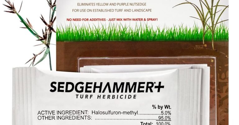 Best Weed Killer For Nutgrass: Root-Killing Power