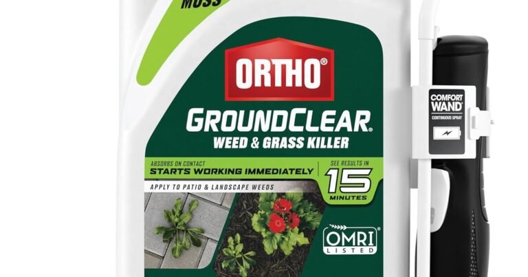 Best Weed Killer Concentrate For Lawns: Root Out Stubborn Weeds