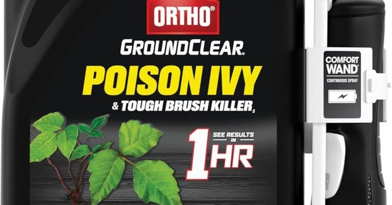 Best Weed Killer For Wild Violets: Root Out Purple Invaders