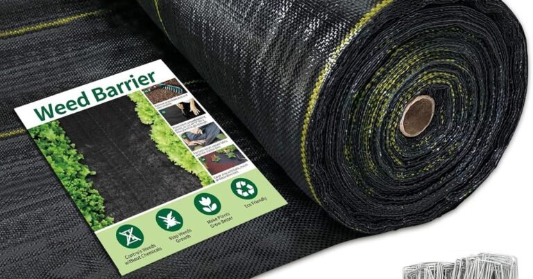 Best Weed Barrier For Mulch Bed: Stop Weeds for Good