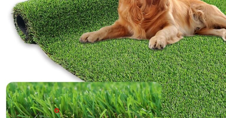 Best Turf Grass For Dogs: Survives Real Life