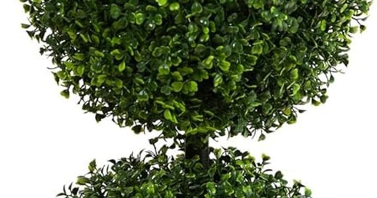 Best Plants For Landscaping Front Of House: Curb Appeal That Lasts