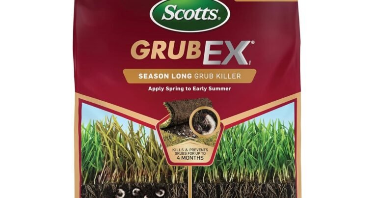 Best Lawn Treatment For Bugs: Kill Grubs Fast