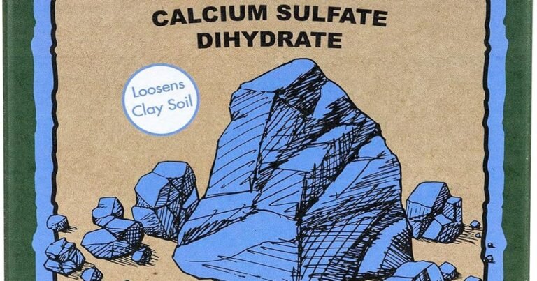 Best Fertilizer For Clay Soil: Loosen, Feed, Thrive