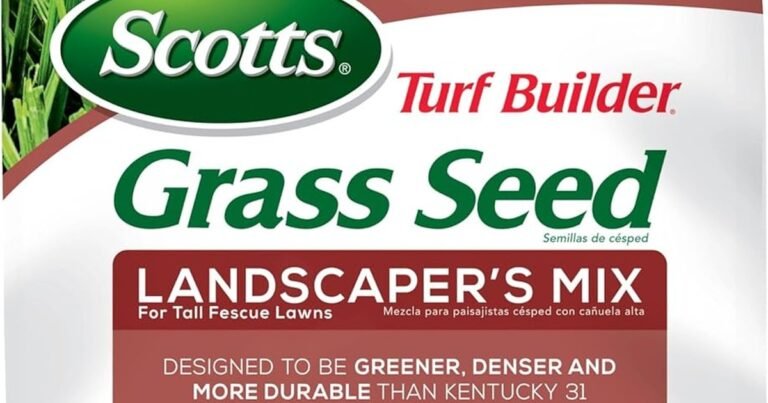 Best Grass For Full Sun And Drought: Stay Green All Summer
