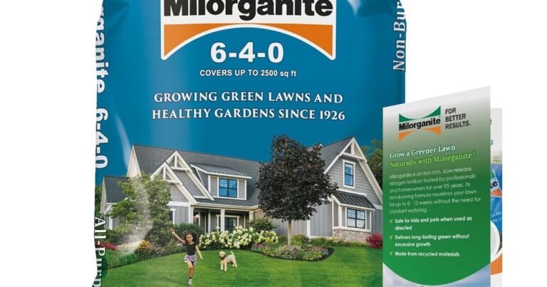 Best Fertilizer For My Lawn: Lush, Green Results