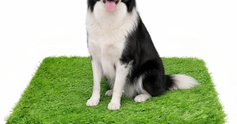Best Sub Base For Artificial Grass With Dogs: Clean, Dry Yards