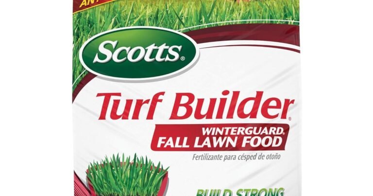 Best Pre Emergent For Fall: Stop Weeds Before They Start