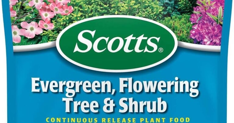 Best Fertilizer For Evergreen Shrubs: Deep Green Results