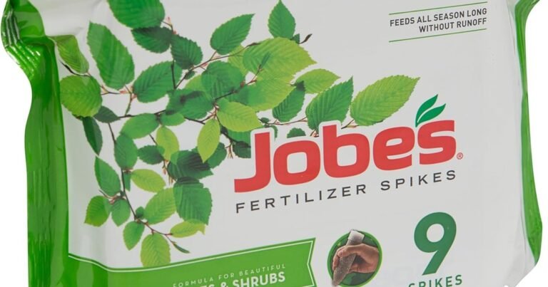 Best Fertilizer For Young Trees: Strong Roots, Healthy Growth