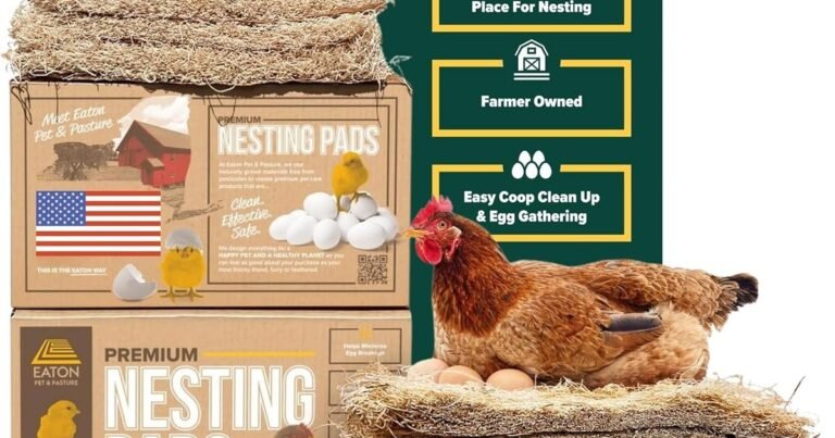 Best Shavings For Chicken Coop: Clean, Dry, Healthy