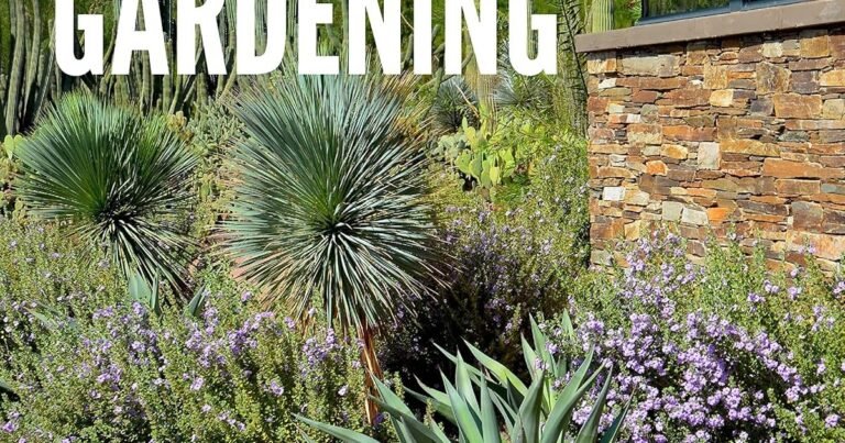 Best Plants For Xeriscaping: Beat the Heat